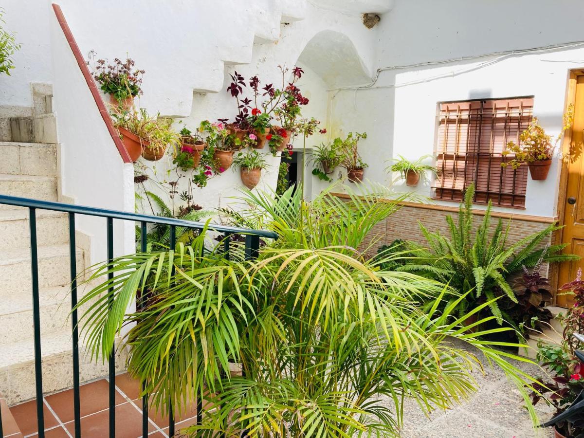 Apartamento Conil Centro Conil De La Frontera Extérieur photo